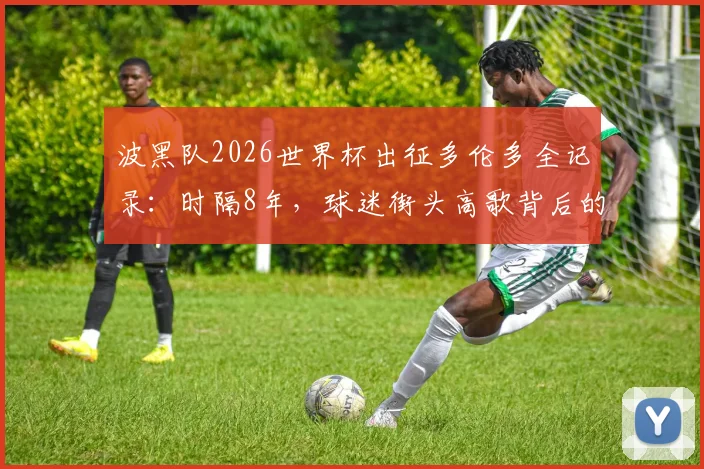 波黑队2026世界杯出征多伦多全记录：时隔8年，球迷街头高歌背后的预选赛历程与观赛指南