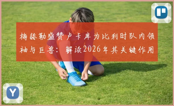 梅赫勒盛赞卢卡库为比利时队内领袖与巨兽：解读2026年其关键作用与球场影响力