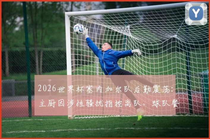 2026世界杯塞内加尔队后勤震荡：主厨因涉性骚扰指控离队，球队餐饮管理与人员纪律敲响警钟